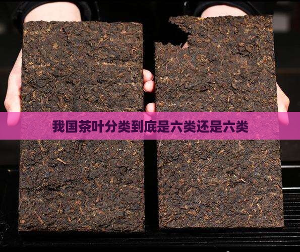 我国茶叶分类到底是六类还是六类