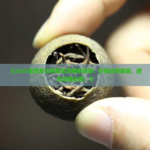 古树的旋律和老班章