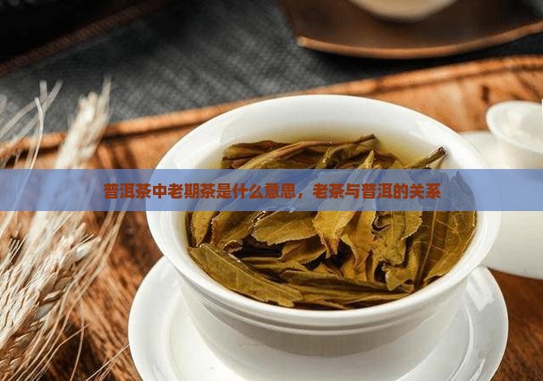 普洱茶中老期茶的意思
