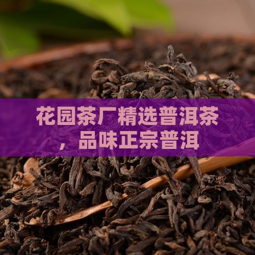 花园云南普洱茶
