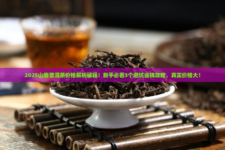 山春普洱茶多少钱