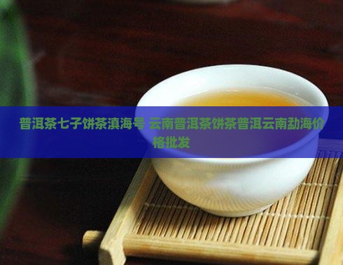 普洱茶七子饼茶滇海号
