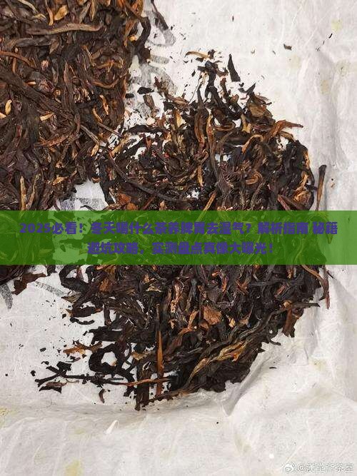 冬天喝什么茶养脾胃去湿气
