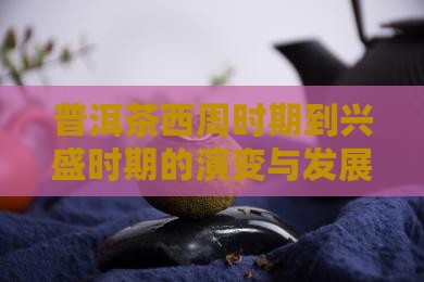 普洱茶西周时期