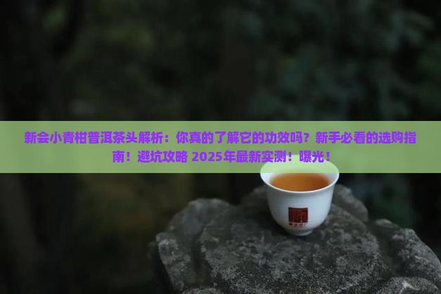 新会小青柑普洱茶头