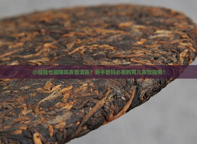 小孩子可以喝陈皮普洱茶