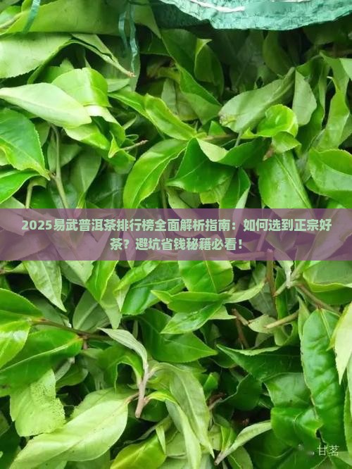 易武普洱茶品牌排行榜