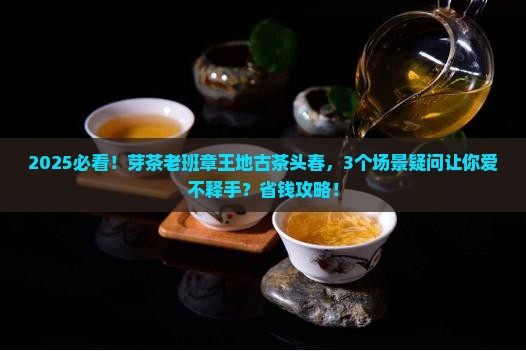 芽茶老班章王地古茶头春
