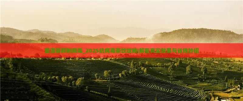 普洱茶抑制病毒
