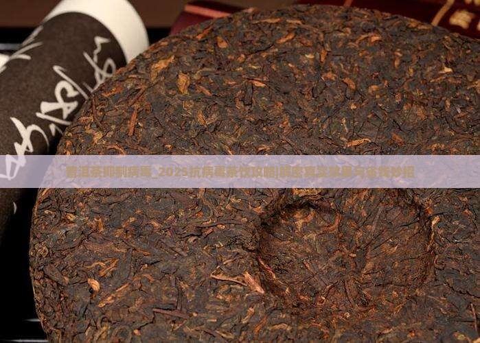 普洱茶抑制病毒