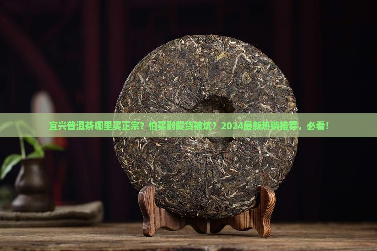 宜兴普洱茶哪里买正宗