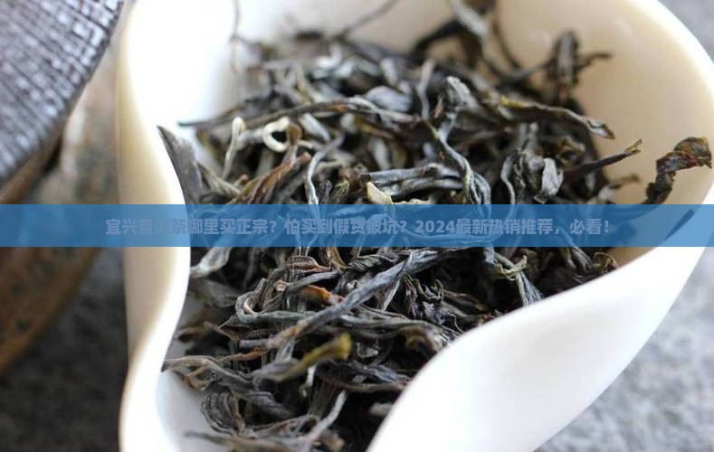 宜兴普洱茶哪里买正宗