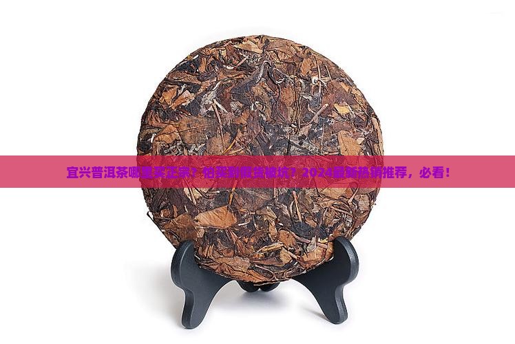 宜兴普洱茶哪里买正宗
