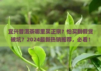 宜兴普洱茶哪里买正宗