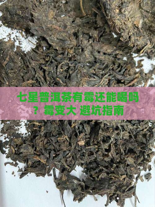 七星普洱茶有滴霉可以喝吗
