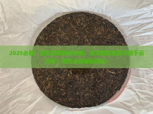 普洱茶属不属于云雾茶一类