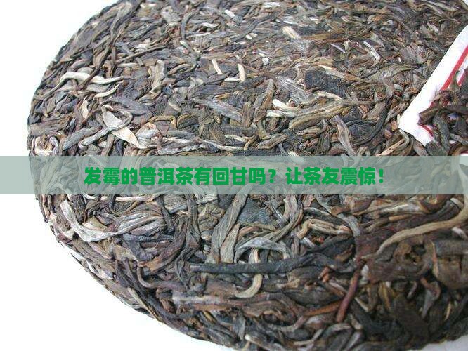 发霉的普洱茶有回甘吗