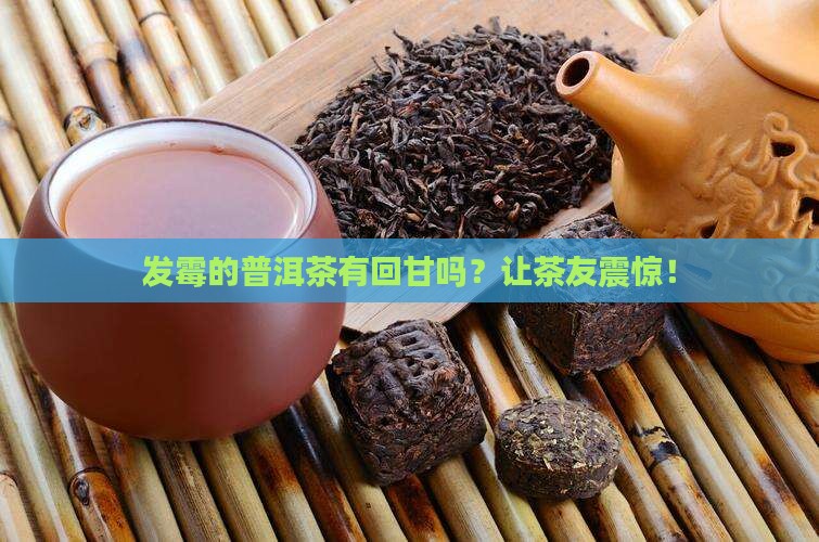 发霉的普洱茶有回甘吗