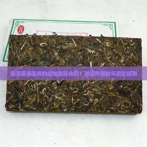 普洱茶潮湿会陈化快吗