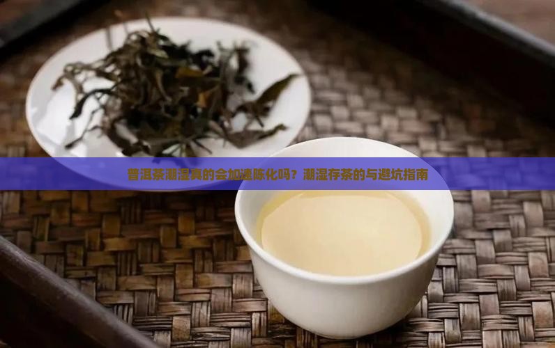 普洱茶潮湿会陈化快吗