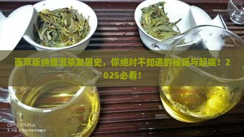 西双版纳普洱茶发展历程