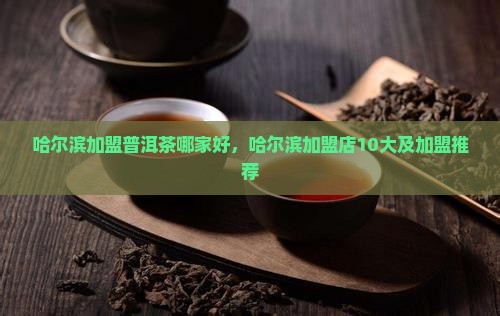 哈尔滨加盟普洱茶哪家好