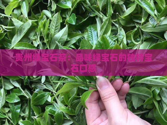 贵州绿宝石茶口感怎么样