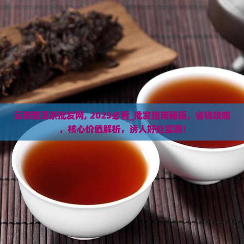 云南普洱茶批发网