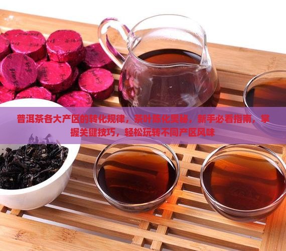 普洱茶各大产区的转化规律