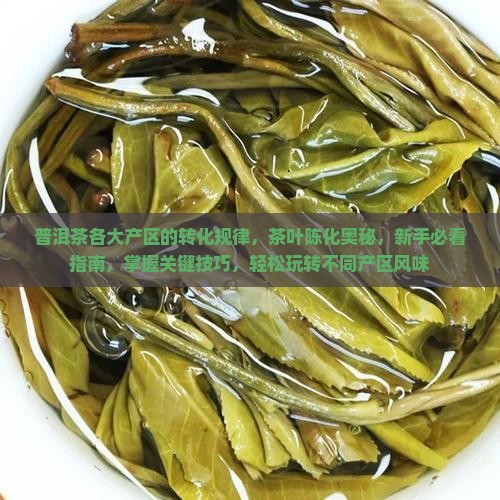 普洱茶各大产区的转化规律