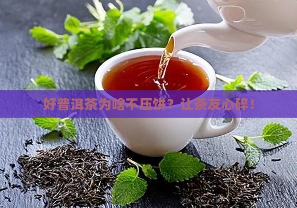好普洱茶为啥不压饼