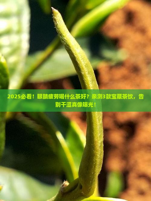 眼睛疲劳喝什么茶对眼睛好