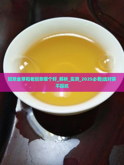 班章金芽和老班章哪个好