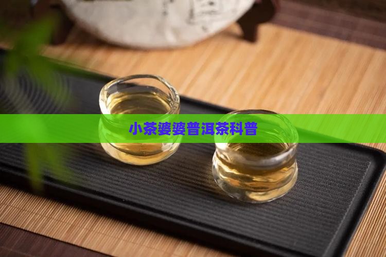 小茶婆婆普洱茶科普