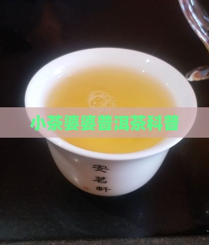 小茶婆婆普洱茶科普