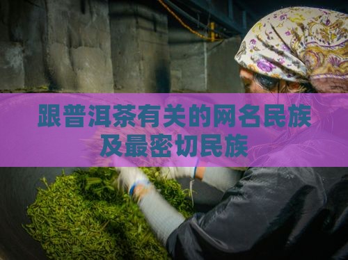 跟普洱茶有关的