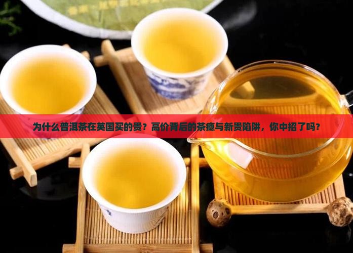 为什么普洱茶在英国买的贵