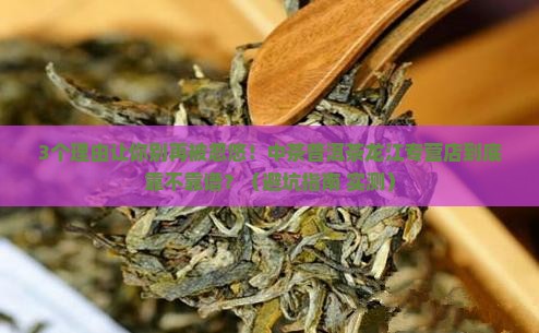 中茶普洱茶龙江专营店