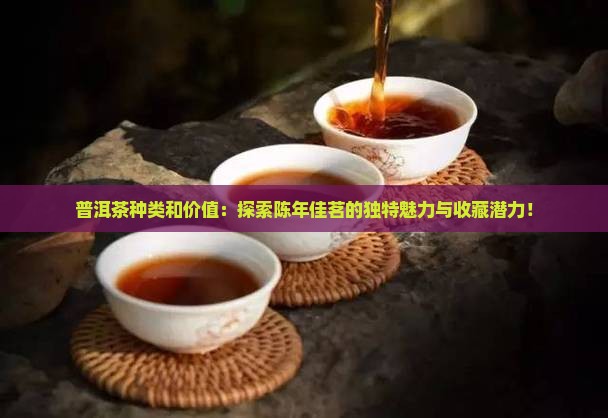 普洱茶种类和价值