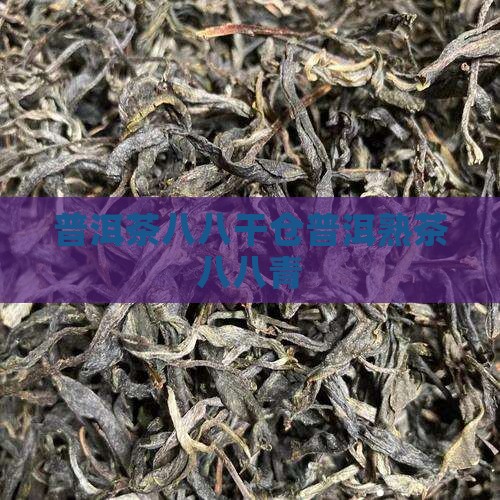 中茶普洱茶熟茶八八青