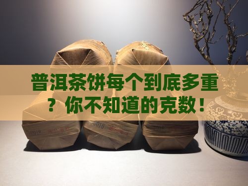 普洱茶饼每个多少克
