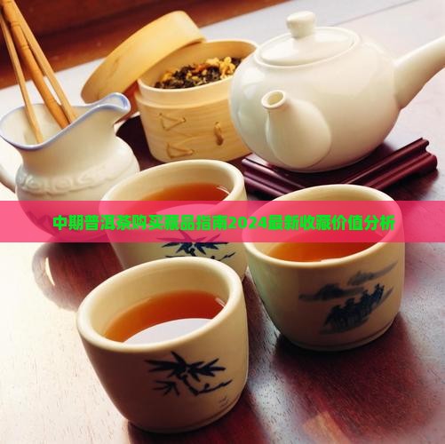 中期普洱茶购买藏