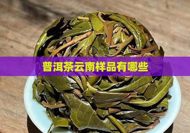 普洱茶有哪些样品