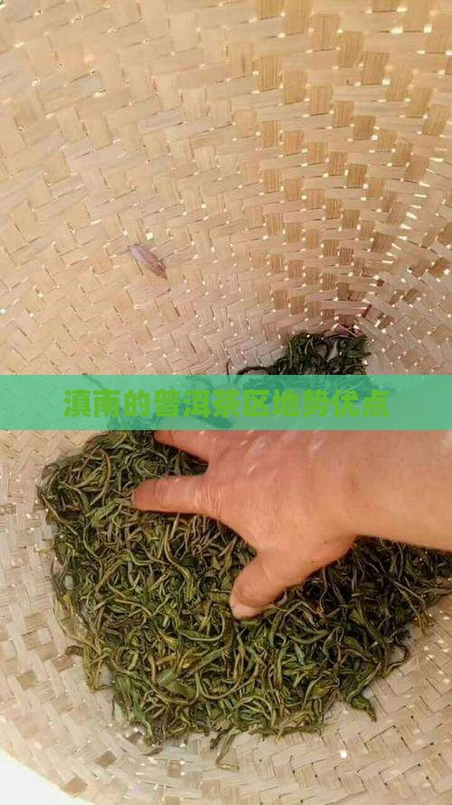 滇南的普洱茶区地势优点