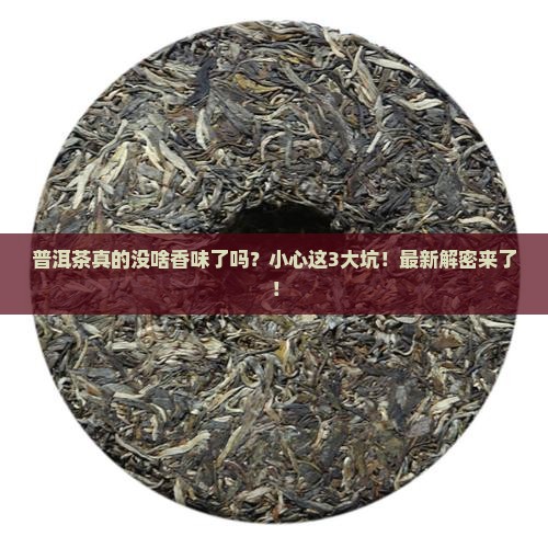 普洱茶没啥香味了吗好吗