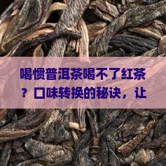 喝惯普洱茶喝不了红茶
