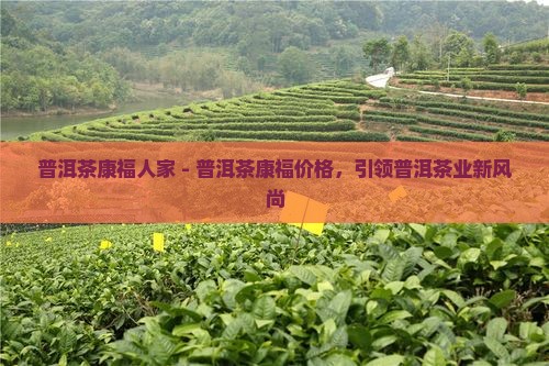 普洱茶康福人家