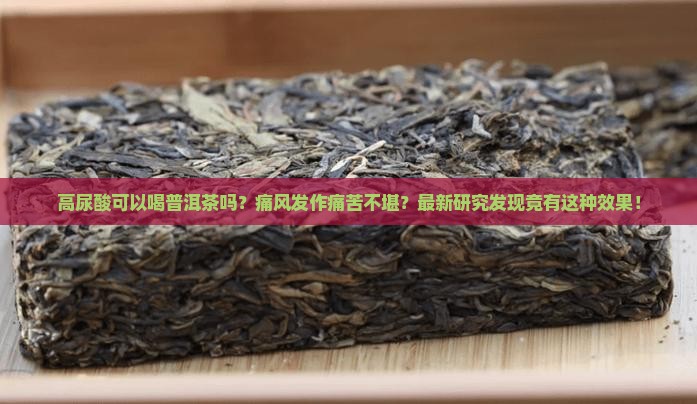 高尿酸可以喝普洱茶吗