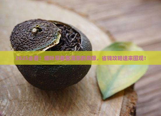 傣叶早春普洱茶