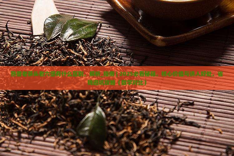 熟普老茶头老六堡有什么区别